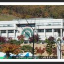 총신대학교 목회신학대학원 Daum카페