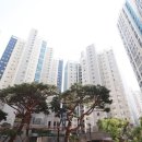 수지자이 공인중개사사무소 이미지