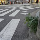 소설小雪 즈음에 이미지