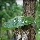 흥룡초교 이미지