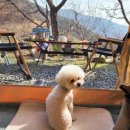 어론목장 네이버블로그