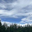 엽이목장 이미지