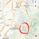L-1 | 전북 진안 마이산 벚꽃 현황 l 26년 4월 2주 실제 방문 후기