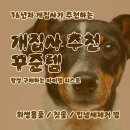 반려견 용품 추천, 16년 차 견주의 내돈내산 후기 배변패드 / 칫솔 / 소형견 / 위생용품