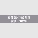 레몬공인중개사사무소 이미지