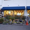 태종아리랑 이미지