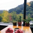 지삼로 | 용인 지곡동 숲뷰 분위기카페 써니포레스트 방문후기