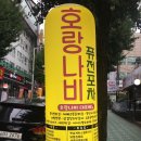 나비포차 이미지