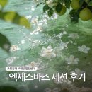 초민감자 브레인 힐링센터 엑세스바즈 세션 후기