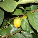 한양사료유통 이미지