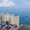 앤애견샵 이미지