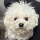 몽글몽글 이미지