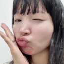 오일스팟 | 여드름 진정에 좋은 티트리 오일 스팟 케어, 네페라 스팟 케어 솔직후기