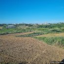 루나넬마레 이미지