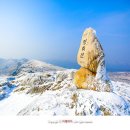 남진축산 이미지