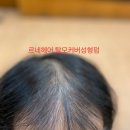 포항이야기 이미지