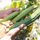 보민농장 이미지