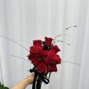 효성발레학원 | ❤️‍🔥블랙드레스 촬영에 가장 잘 어울리는 레드 장미 부케｜에머렌틴플라워 촬영부케