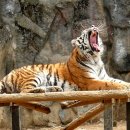 서울대공원 이미지