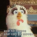 과일마켓 - 수원시 팔달구 동말로68번길 15 | 과일마켓