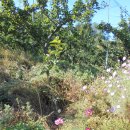 두산마을회관 이미지