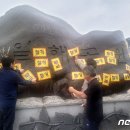 새천년생명의숲 이미지