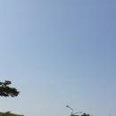 정*호 Daum카페