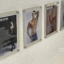 피티텐션 이미지