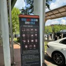 이색 데이트 추천 “렛츠런파크 서울” 과천 경마공원 재방문 후기