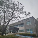 양지면 행정복지센터 머니투데이