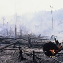 우림농장 이미지