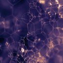 (주)단비 바이오 | 더메타 테라퓨틱스 1,240만 달러 자금 확보로 주가 폭등