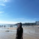 불타는갈매기 | [인천/을왕리] 을왕리해수욕장 당일치기 🌊 불타는조개구이 칼국수 솔직후기