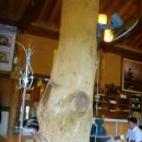 달맞이 흑두부 이미지