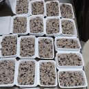 행궁마을관리사회적협동조합 이미지