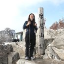 (주)여행버스