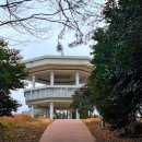 지에스대전산단 | 여수 망마산 정상 팔각정 동백꽃 개화