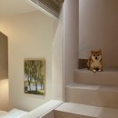 서유의섬 이미지