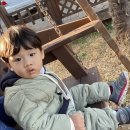 서생파크펜션 | 울산캠핑장 서생 힐링빌리지 오토캠핑13번/글램핑/펜션 둘러보기
