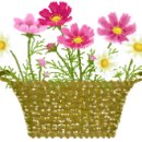 회원동133 이미지