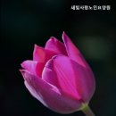 대전노인요양원 | 대전요양원 새빛사랑노인요양원 대전요양원 최고의 선택