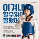 프리미엄 태권마루 태권도장 이미지