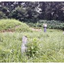 상주 사서 전식 신도비 이미지