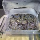 남양환경 | 남양읍 맛집 노천민물장어 화성남양점 장어 무한리필 후기
