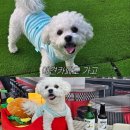 위아더멍