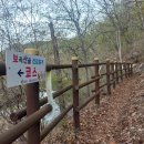 자진뱅이길 이미지