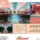 리즈펠리스 이미지