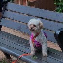 태전스크린골프 | 동에번쩍 서에번쩍