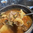 가보세흑돼지 | 제주 맛집 돌담흑돼지 중문점 숄더랙 먹고 완전 감동한 도민 맛집 후기
