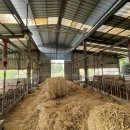 동원1태양광발전소 이미지